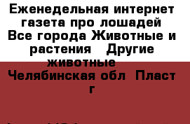 Еженедельная интернет - газета про лошадей - Все города Животные и растения » Другие животные   . Челябинская обл.,Пласт г.